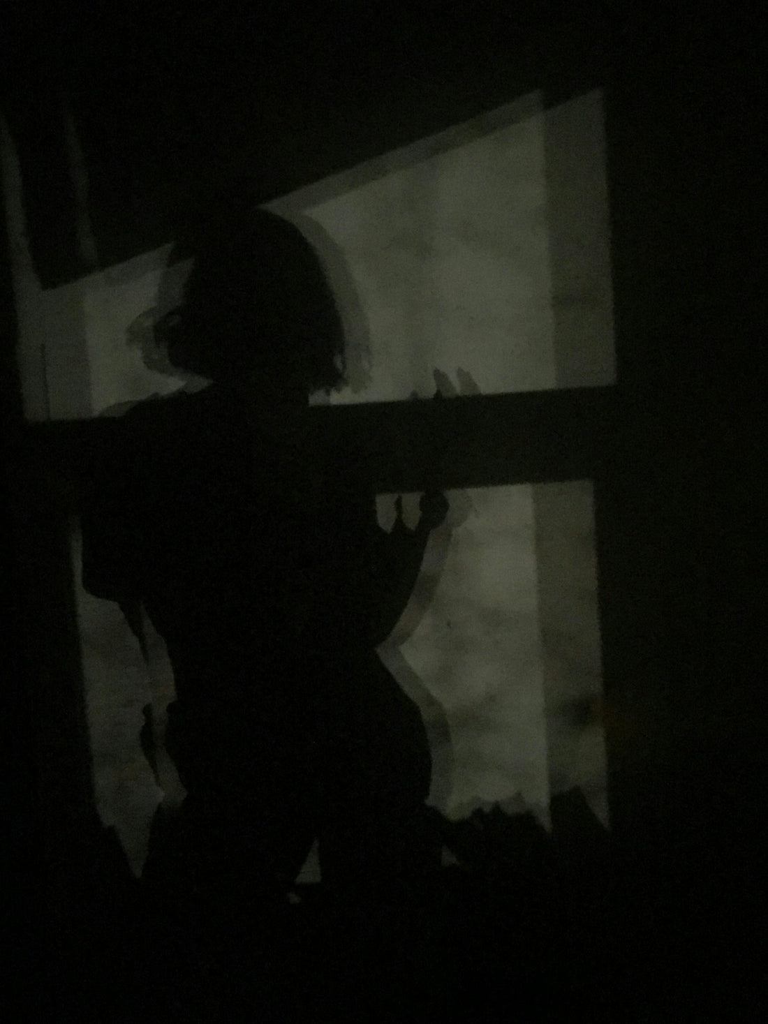 silhouette of woman photography