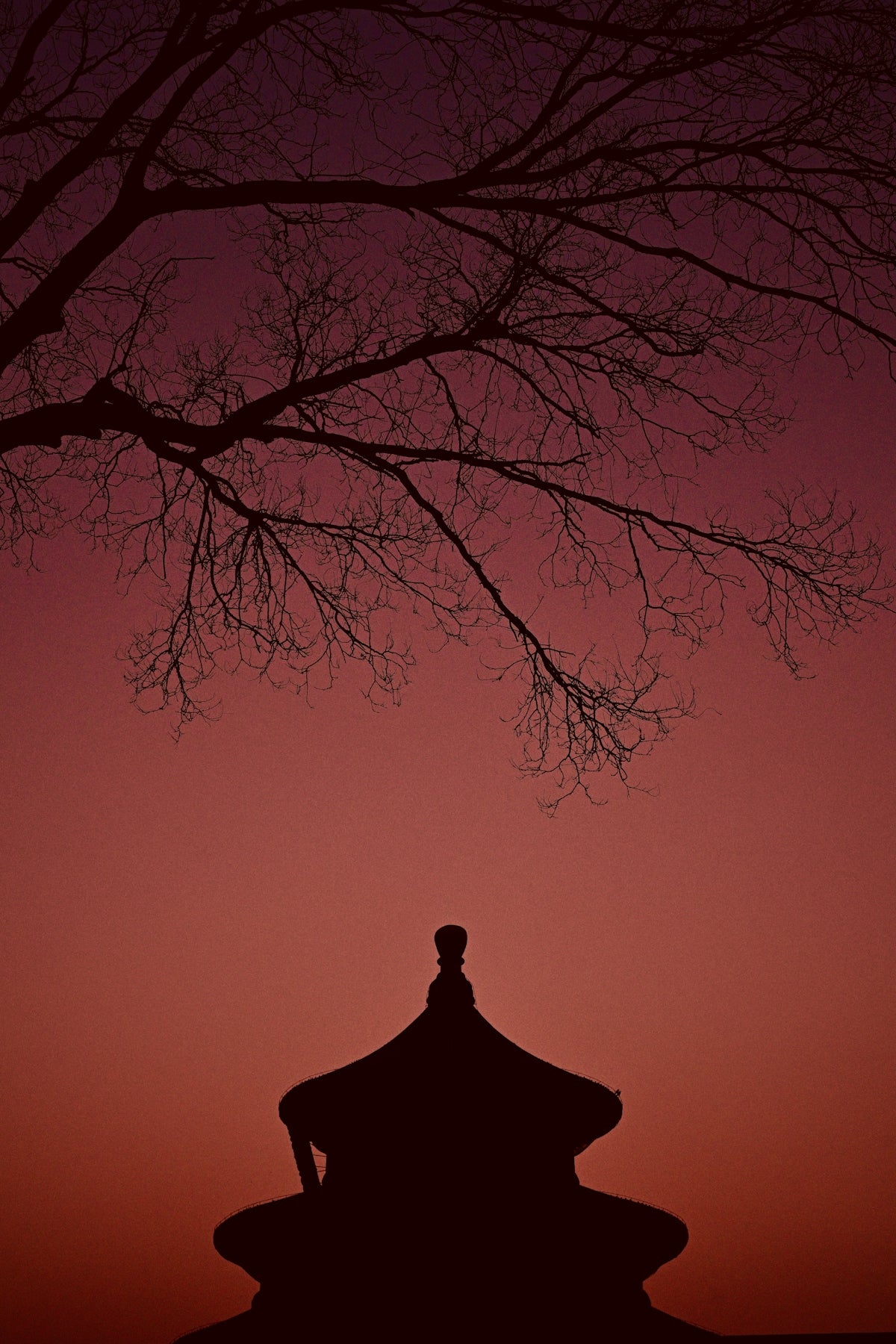 A silhouette of a building with a tree in the background