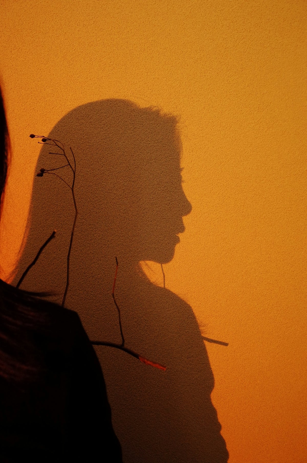 Silhouette of a woman's profile against orange wall