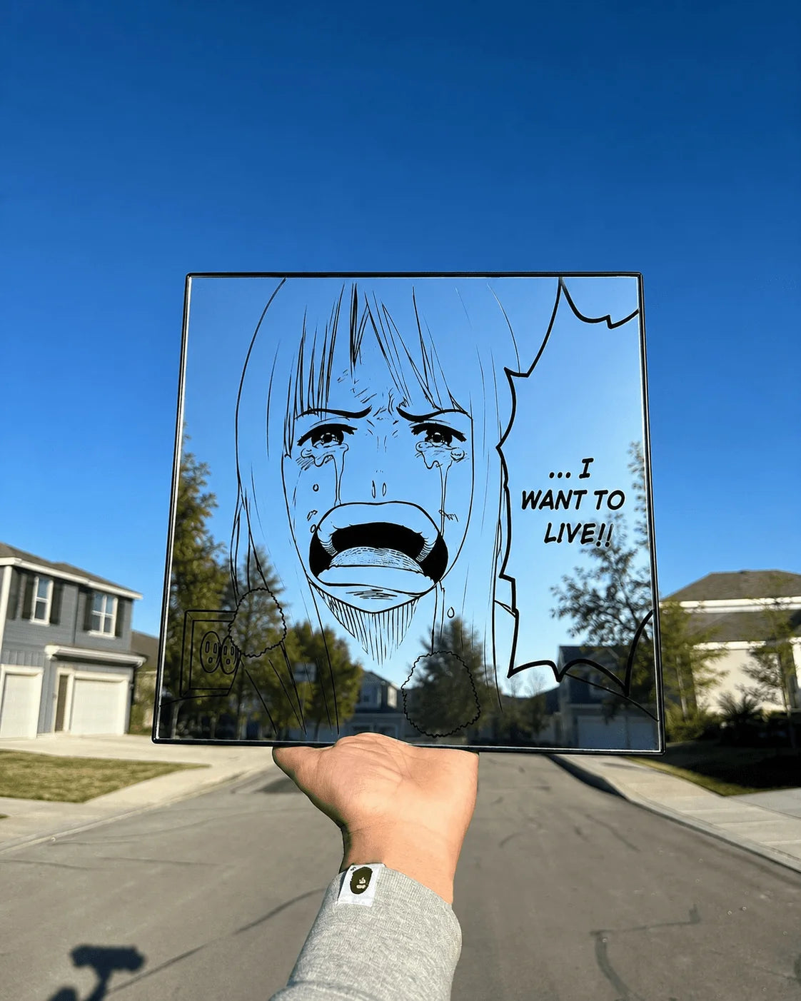 Nico Robin "I Want to Live!" Wall Mirror | One Piece Anime Decor LiquidMirror